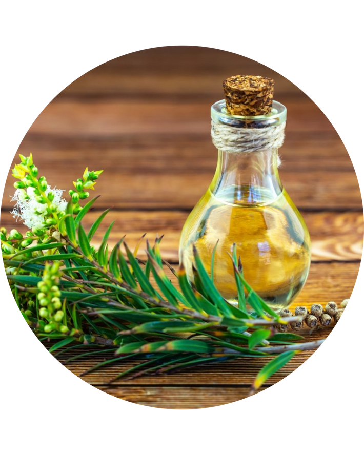 Tea Tree Oil