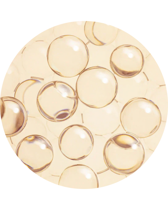 Ceramide