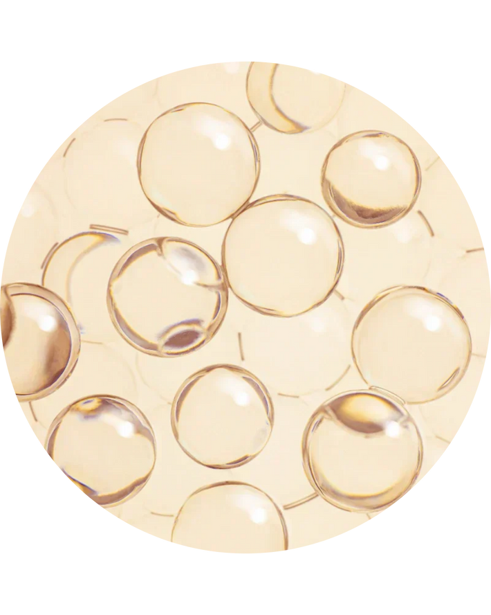 Ceramide