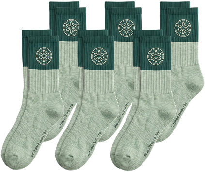 6 Pairs