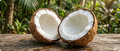 Coconut Oil